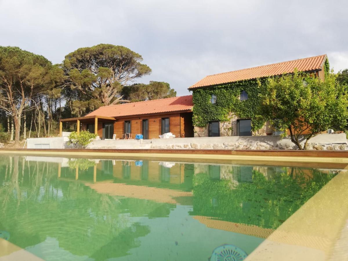 Casas Do Pinheiro Grande Vila Fornos de Algodres Exterior foto