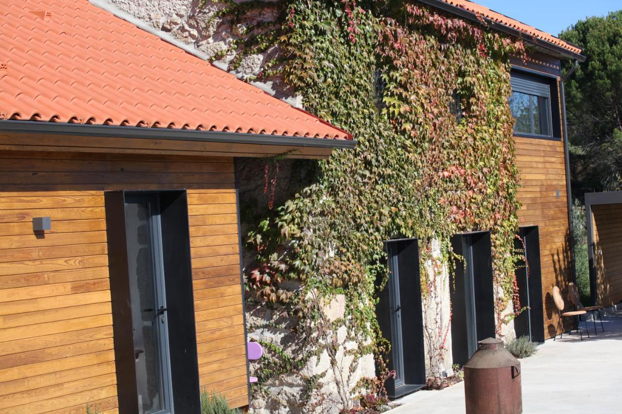 Casas Do Pinheiro Grande Vila Fornos de Algodres Exterior foto